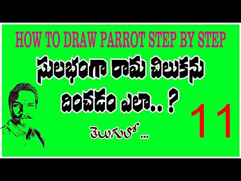 how to draw a birds (parrot) easy step by step for beginners telugu #drawing class11