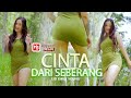 GOYANG STEP MOM CINTA DARI SEBERANG FDJ Emily Young Official Music Video DJ HOREG
