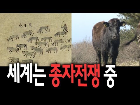 , title : '[MBC 다큐멘터리] 토종 2부 - 미래자원의 보고, 토종'
