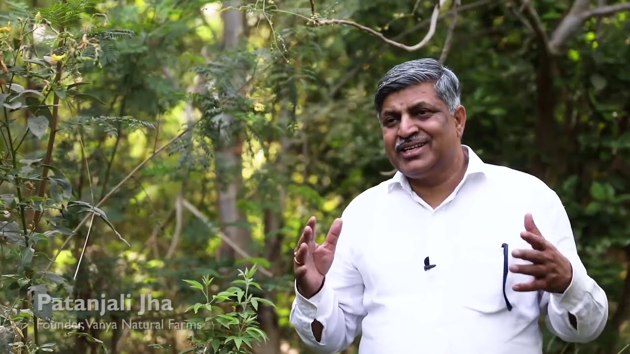 Vanya Naturals - Our Vision (Hindi)