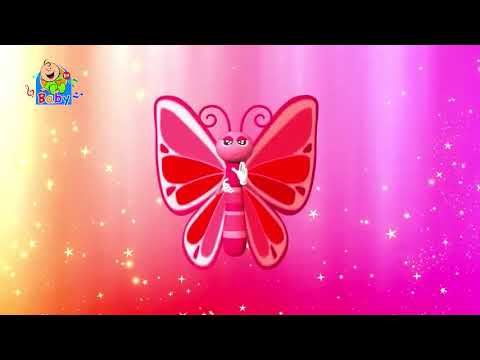 The Butterfly _ Toyor Baby English