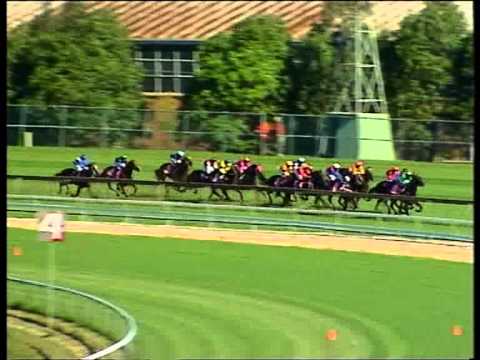 2002 Golden Slipper - Calaway Gal