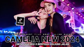 Download lagu DUGEM PALING GACOR 2024 • DJ CAMELIA X CINTA TIGA SEGI SPESIAL NEW PARTY TILL DROP mp3