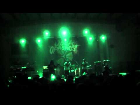 Digitalna Kokoš - Pederska pjesma