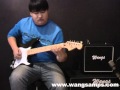 WANGS VT 5 3 Flv