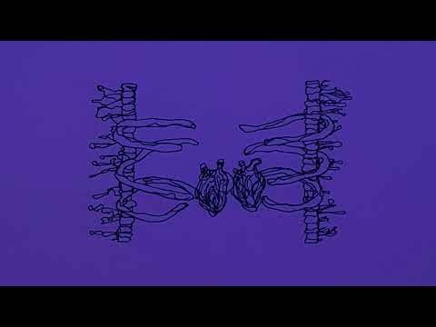 Belfa & Julia Alexa - close to ur heart (Official Audio)