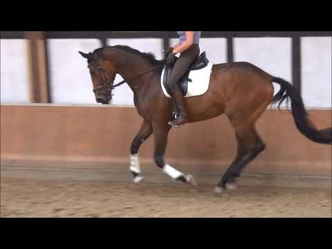 3j. Wallach von Fürst Romancier- Angard- Pygmalion