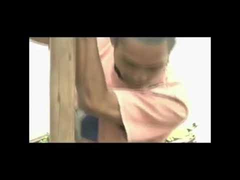 Fiainana an-tany tanora masina itaosy