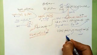 3 ✉  رسالة التقدير بالبلاغة image