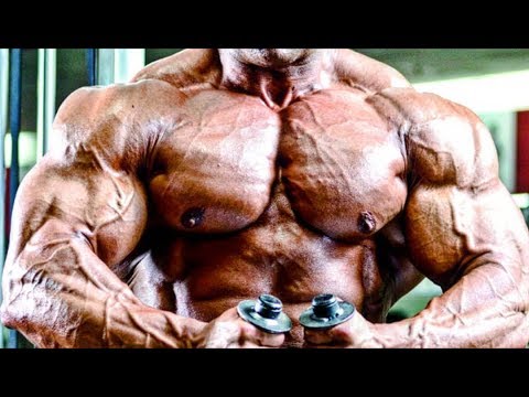 Fouad Abiad - DON'T WASTE ANY WORKOUT - Bodybuilding Motivation