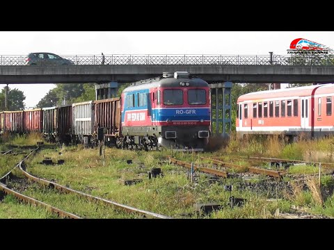 Trenuri de Calatori & Marfa in Gara & Depoul Oradea - 08 Septembrie 2025