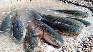 Рыбалка на азовском море спиннингом