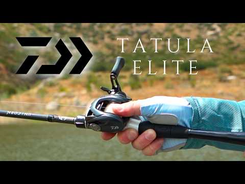 Is it ACTUALLY ELITE? Daiwa Tatula Elite Casting Reel Review