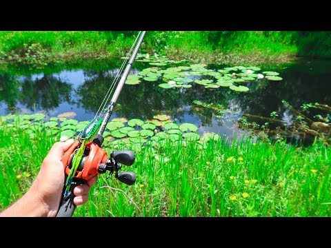 WEIRD Walmart FROG Fishing Challenge for BIG BASS Video