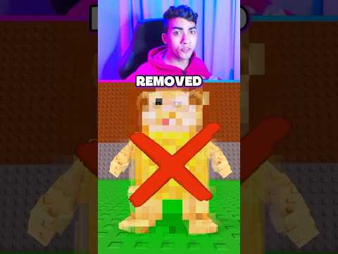 ALL BANNED BRAINROTS IN STEAL A BRAINROT 😱