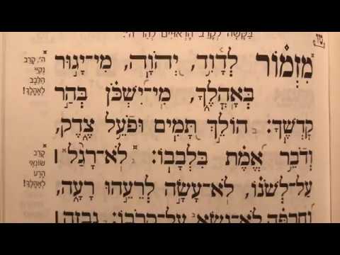 תהלים פרק טו׳ Tehilim perek 15 Psalms chapter 15 מזמור לדוד ה׳ מי יגור באהלך