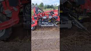 Rema EnviMaxX 400 LT haulm topper | Image 4 - Agroline