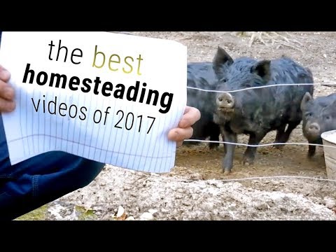 Top 10 Homesteading Videos of 2017 Video