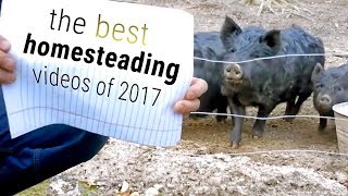 Top 10 Homesteading Videos of 2017