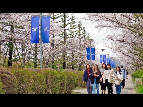 文学言語学科 【KGニュース】START UP KSC! 2024年度 新入生オリエンテーション