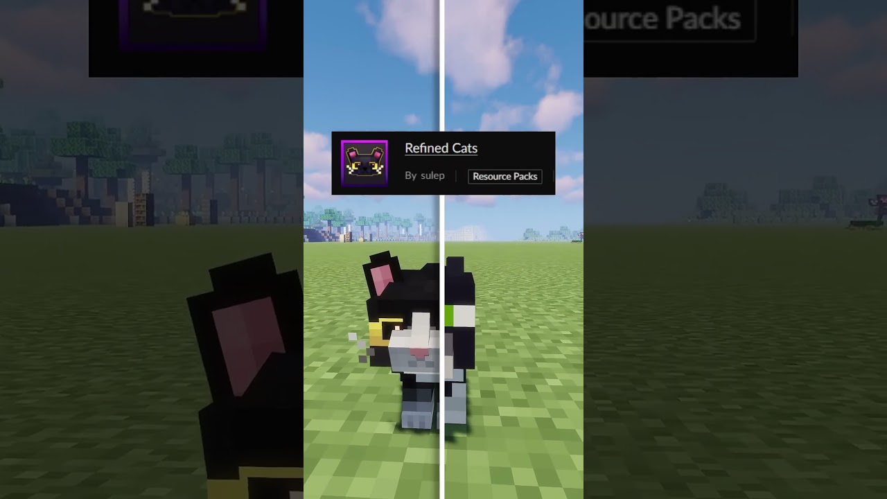 The best minecraft texturepack(part18)...!! #minecraft