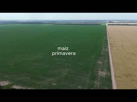 Visita a una estancia agricola en el corazon del chaco