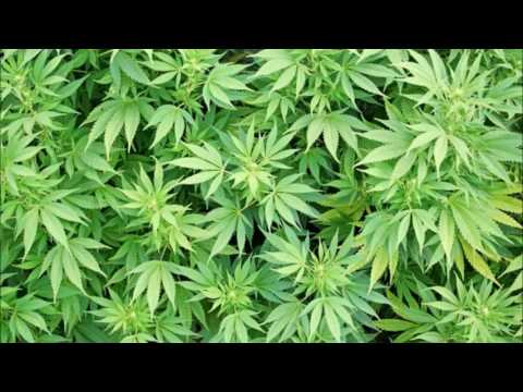 Kid Cudi -  I do my thing ft snoop dogg