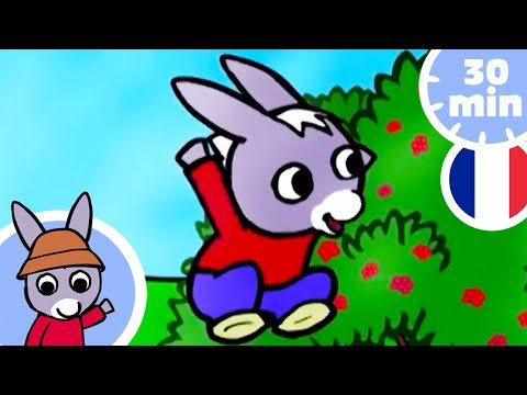 🥰 Trotro le petit âne ! 🥰  - Dessin Animé pour Bébé