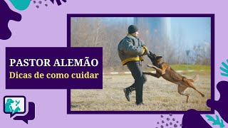 PASTOR ALEMO - dicas para cuidar ainda melhor do seu pet dessa RAA