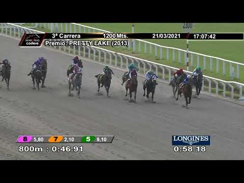 210321 c03 BETTER COPS