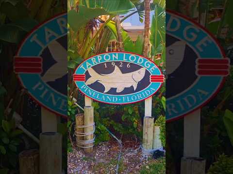 Tarpon Lodge