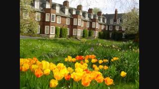 The Black Crowes - Virtue and Vice