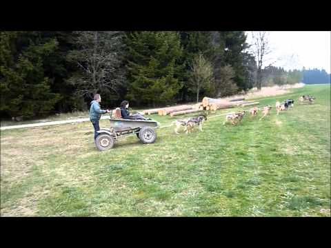 Teambuilding na SV. Kateřině - Masher & Péče o koně