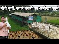 बकरी मुर्गी पालन से कमाता हूं 18 लाख साल