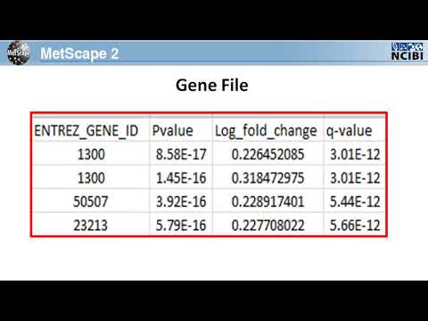 MetScape Pathway Network Tutorial