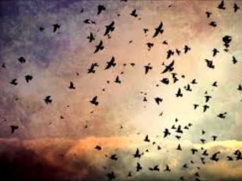 Owl City ~ Take To The Sky (Lyrics)