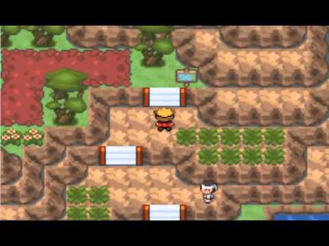 Pokemon Glazed Legendaries - Zekrom Reshiram and Kyurem