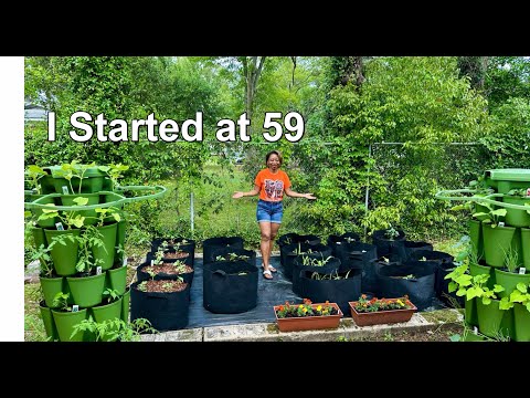 I Started Gardening at 59 - What I Learned My First Year