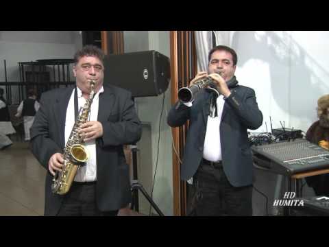 Petrica Vita si Costel Pitigoi - Ardeleana Instrumental Balul Portului Popular Armenis 2016 Full HD