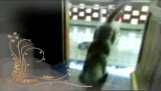 KIMBA - Alejandra Guzmán-Hasta el final -Leann rimes- Please remember