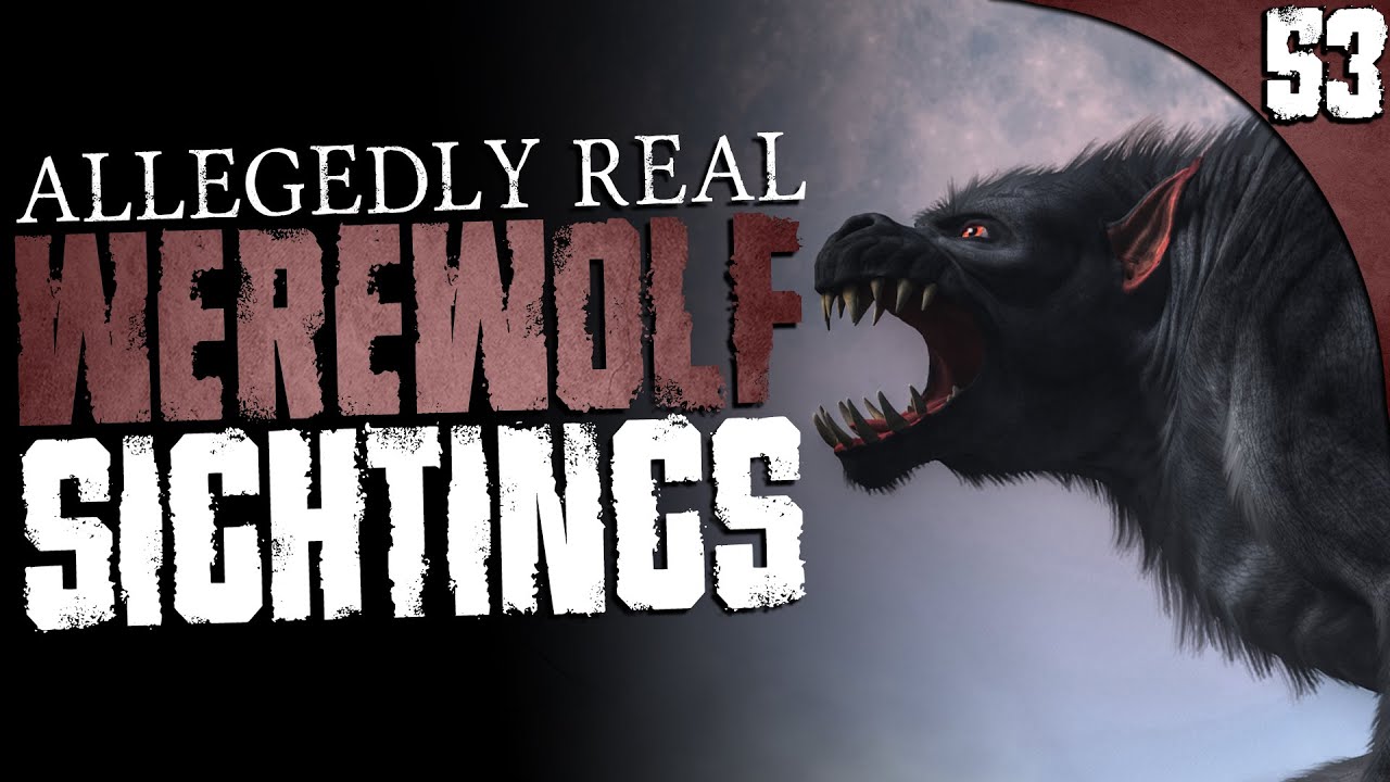 53 REAL Werewolf and Dogman Sightings (COMPILATION)