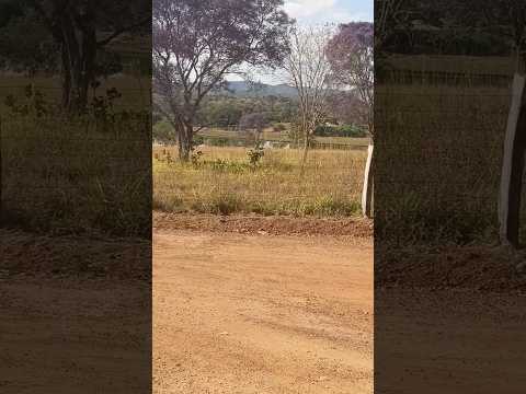🍃 Um cantinho de paz em Formoso (GO)#MomentosQueValem #FormosoGO #Goiás #Paz #Viagem #DescubraGoias