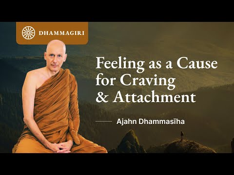 Feeling ('vedana') as Cause for Craving and Attachment | Dhamma Talk by Ajahn Dhammasiha