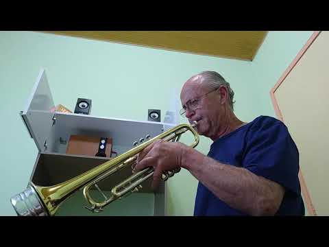 Roberto Przybylski - Blood, Sweat & Tears,  Somethin' Comin' On