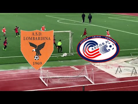 23/11/2019: Lombardina - COB 91 (Pulcini 2010 - VIII g.)