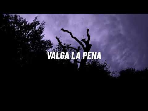 DJ Zay'x & T.H.E. - VALGA LA PENA [Official Lyric Video] ft. Yanina
