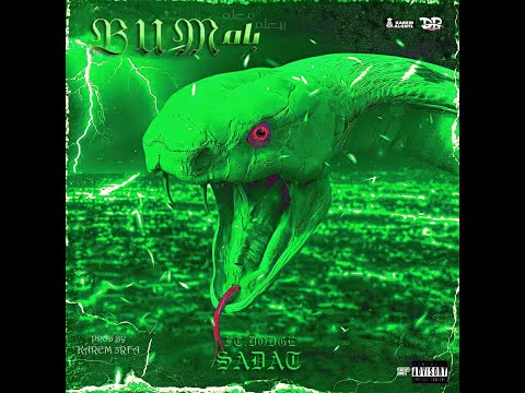 بام سادات العالمي