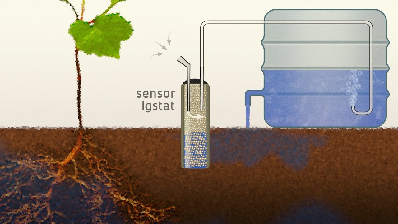 Combate ao desperdício