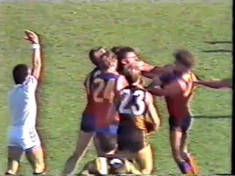 1988 Round 5 VFL Highlights
