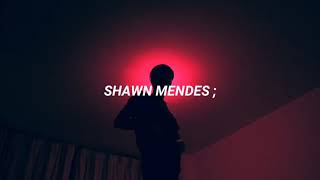 Shawn Mendes - Understand (Traducida al Español)